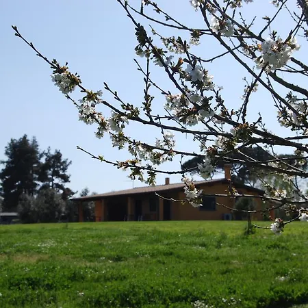 Casa Vacanze Vigna Di Valle Bracciano  Quarto foto