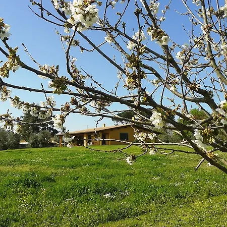 Casa Vacanze Vigna Di Valle Bracciano  Exterior foto