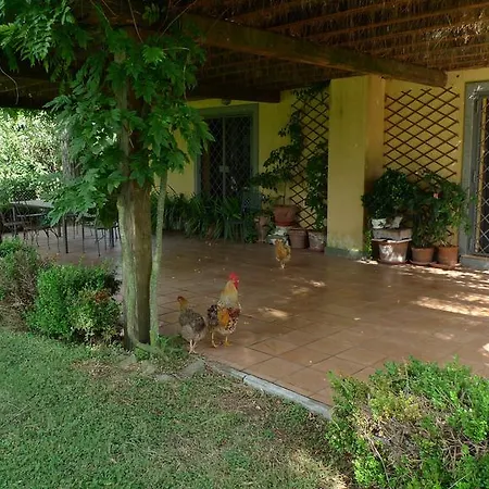 Casa Vacanze Vigna Di Valle Bracciano  Exterior foto