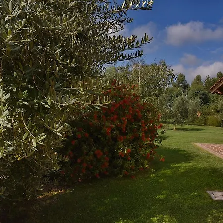 Casa Vacanze Vigna Di Valle Bracciano  Quarto foto