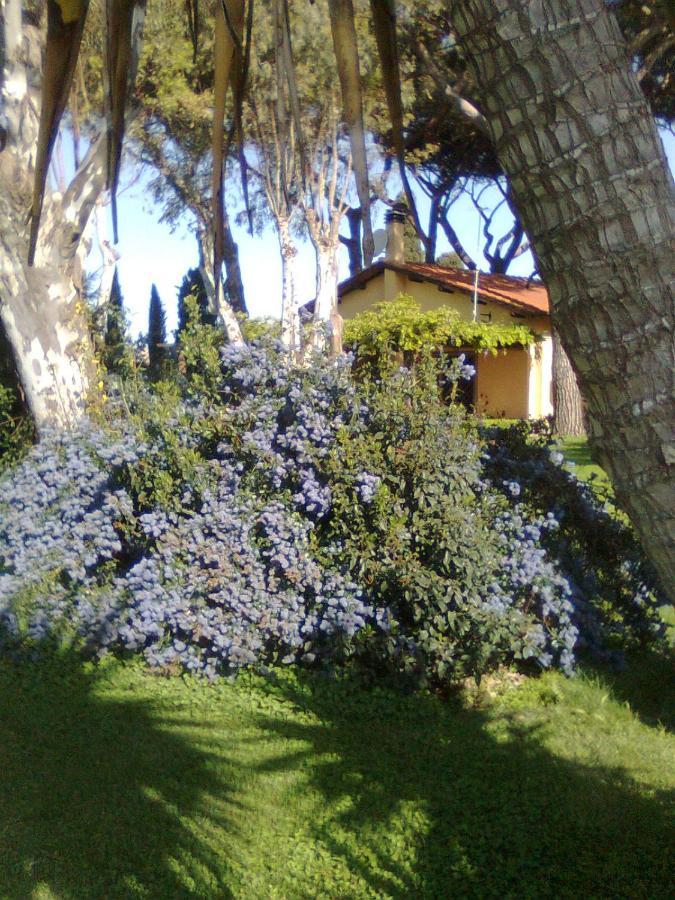 Vigna Di Valle Holiday home