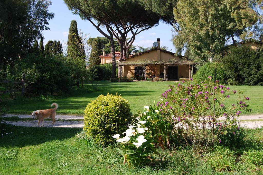 Vigna Di Valle Holiday home