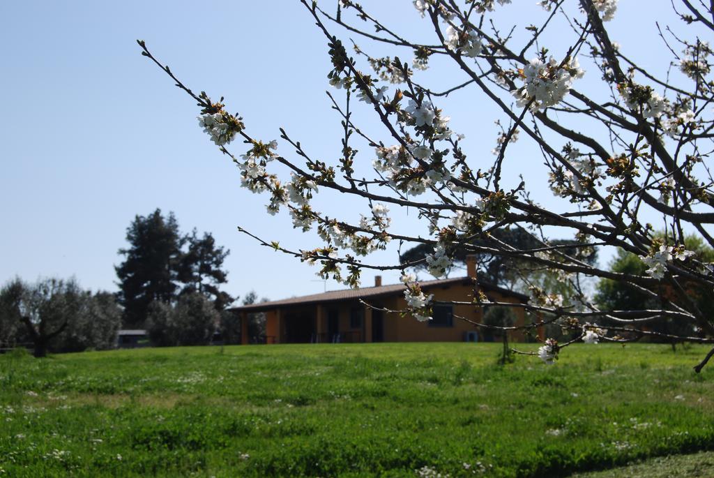 Vigna Di Valle * Bracciano (Rome)