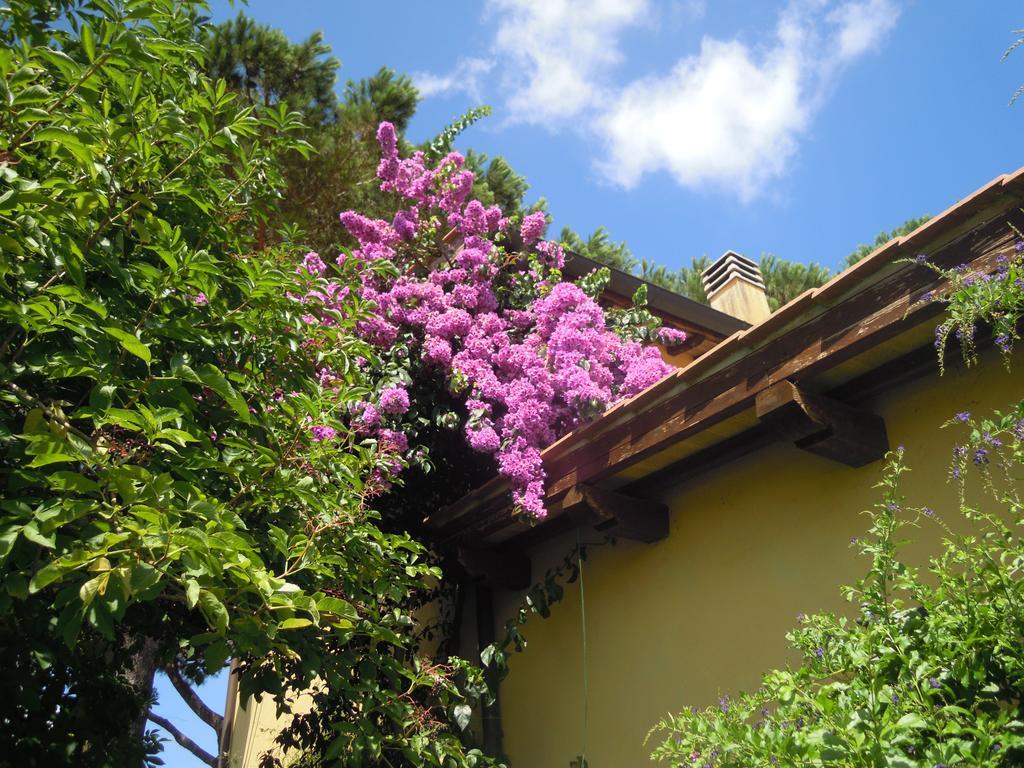 Vigna Di Valle Holiday home