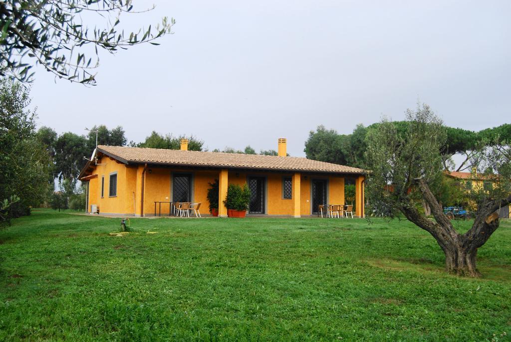 Vigna Di Valle *
