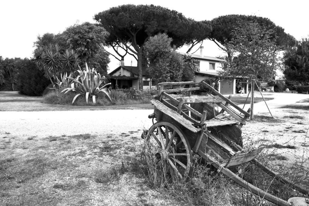 Holiday home Vigna Di Valle