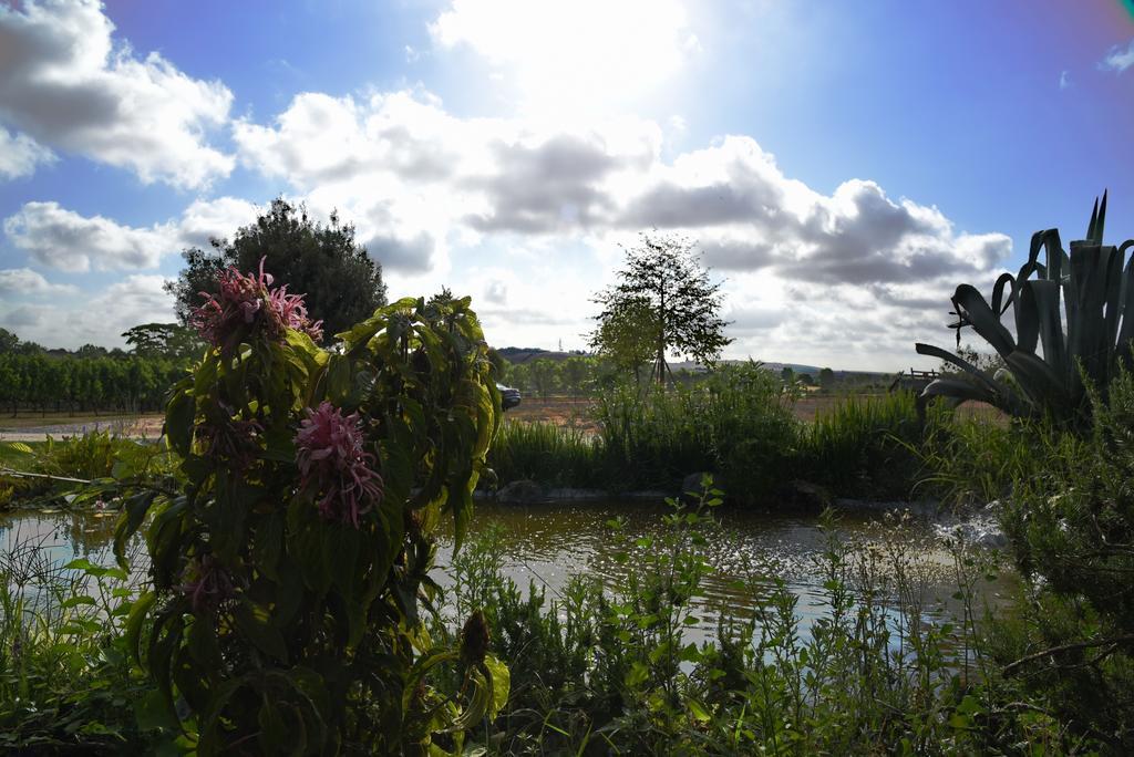 Holiday home Vigna Di Valle