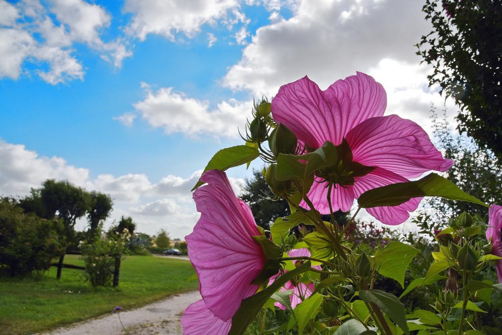 Vigna Di Valle Holiday home Bracciano (Rome)