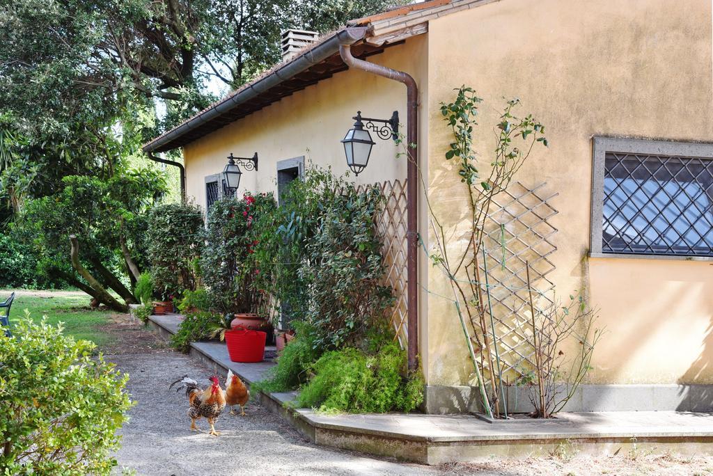 Vigna Di Valle Bracciano (Rome)
